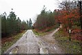 Junction of forestry road and track in the Wyre Forest, near Callow Hill, Worcs