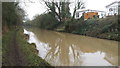 The Ashby canal