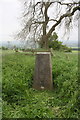 Pillmoor Hill triangulation pillar