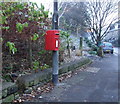 Elizabeth II postbox on Burnley Road, Vale