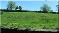 Steep valley slope above the flood plain of the River Callan