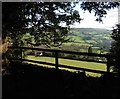 View from St Mary?s churchyard, Luppitt