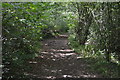 Tandridge Border Path