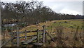 Stile on Weardale Way path