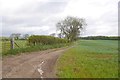 Farm road, Whinny Hill