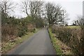 Salterland Road, approaching Parkhouse