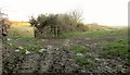 Field south of Little Petherick