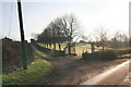 Tree-lined drive off Laxton Road, Egmanton