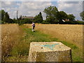 Warren Corner - Trig Point