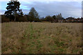 Fieldpath from The Causeway towards the town centre