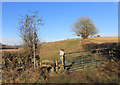 Footpath off Mundaydean Lane