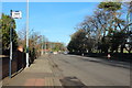 Bus Stop, Doonfoot Road