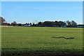 Old Racecourse Playing Fields