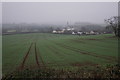 New crop above Haybridge