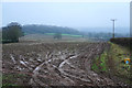 Muddy field near Marley Grange