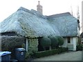 Wilsford thatch [6]