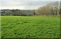 Field near St Mabyn