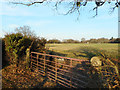 Gate along the Footpath