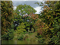 Llangollen Canal north-west of Hollinwood, Shropshire