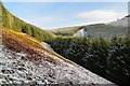 NT2743 : Steep slope below Shieldgreen Kipps, Glentress Forest by Jim Barton