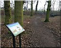 Path at the Montrose Open Space