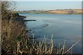 Camel estuary