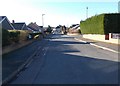 Fern Avenue - viewed from Oak Avenue