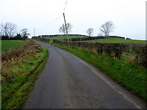H5366 : Dervaghroy Road, Laragh by Kenneth  Allen