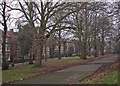 Waterloo Crescent on a January afternoon