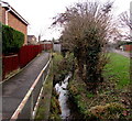 Brook between two paths, Quedgeley