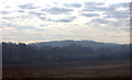 Field from Chisbury Road