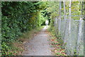 Tandridge Border Path & Greenwich Meridian Trail