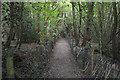 Footpath through the trees