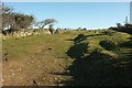 Access land above St Breward