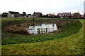 Pond near Bridge Keepers Way, Hardwicke