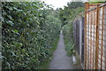 Footpath, Barden Park