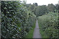 Footpath, Barden Park