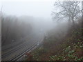 A foggy morning on the Central line near Grange Hill station