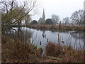 Pond on Woodford Green