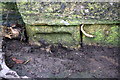 Partly-buried benchmark on Crawley Bridge