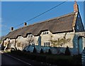 Thatched cottage on Knole Causeway