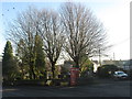 War memorial and telephone box at Upper End, Peak Dale