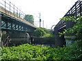 Between bridges, River Roding