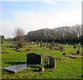 Hove Cemetery