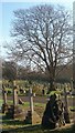 Nautical Grave, Hove Cemetery