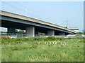 Viaduct on North Circular Road