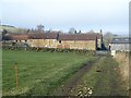 Path at Broadgate Farm