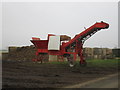 Sugar beet pile and conveyor. Ellerton