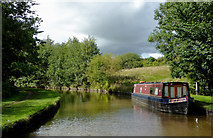 SJ5241 : Llangollen Canal west of Whitchurch, Shropshire by Roger  D Kidd