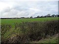 Farmland east of Sykes House Farm